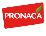 Pronaca